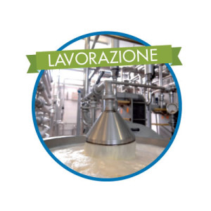 Lavorazione